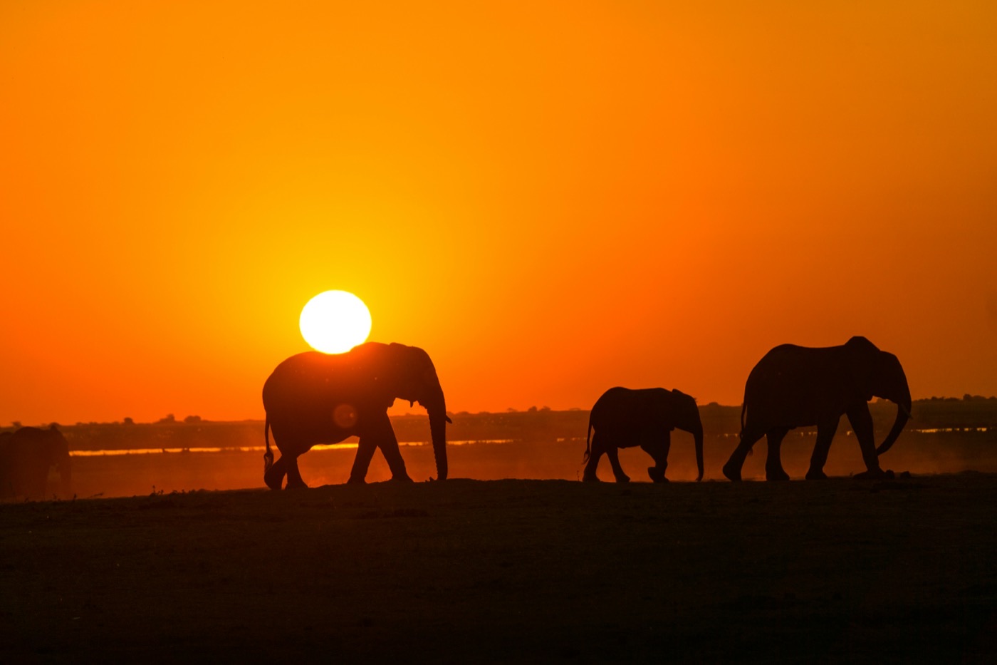 Safari privado — experiencias únicas Carat Lifestyle Services